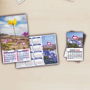 CALENDARIOS